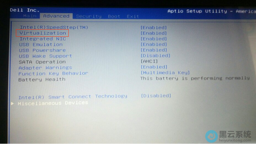 ����vt����