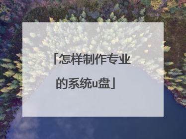 ��������רҵ��ϵͳu��