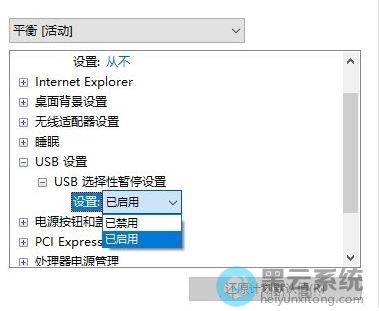 展开usb选择性暂停设置