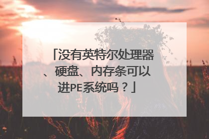 û��Ӣ�ض���������Ӳ�̡��ڴ������Խ�PEϵͳ��