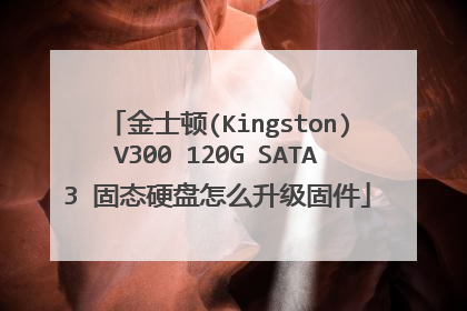 ��ʿ��(Kingston)V300 120G SATA3 ��̬Ӳ����ô�����̼�