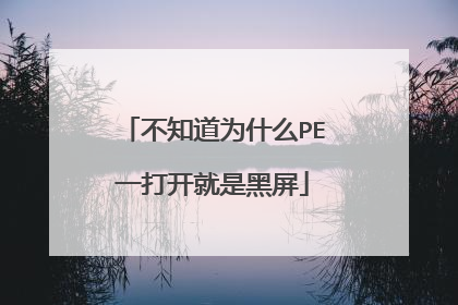 ��֪��ΪʲôPEһ�򿪾��Ǻ���