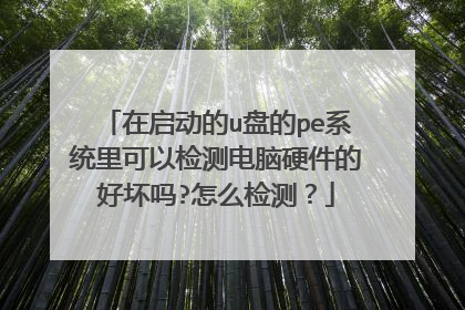 ��������u�̵�peϵͳ����Լ�����Ӳ���ĺû���?��ô��⣿