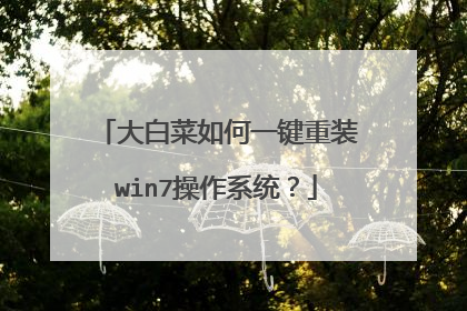大白菜如何一键重装win7操作系统?