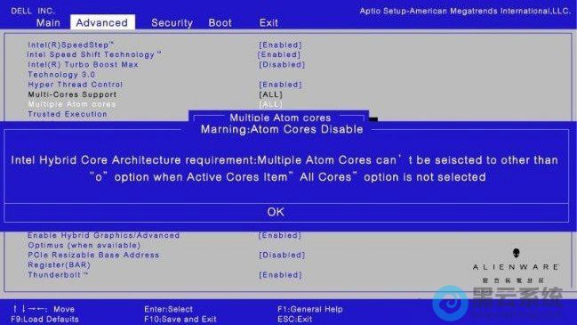 设置multiple atom cores