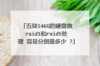 ���146G��Ӳ���� raid1��raid5���� �����ֱ��Ƕ��� ?