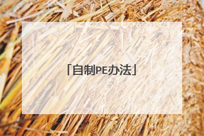 ����PE�취