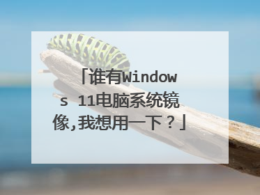 ˭��Windows 11����ϵͳ����,������һ�£�