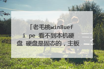 ��ë��win8uefi pe ����������Ӳ�� Ӳ���ǹ�̬�ģ�����IDEʲô��Ҳ�����ˣ�����ʾ�󷽷�
