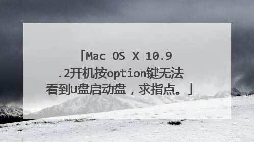Mac OS X 10.9.2������option���޷�����U�������̣���ָ�㡣