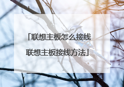 ����������ô���� ����������߷���