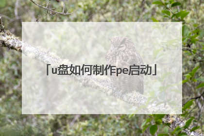 u���������pe����