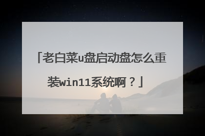 �ϰײ�u����������ô��װwin11ϵͳ����