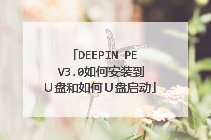 DEEPIN PE V3.0��ΰ�װ�����̺���Σ�������