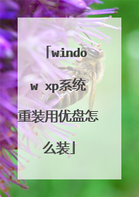 window xpϵͳ��װ��������ôװ