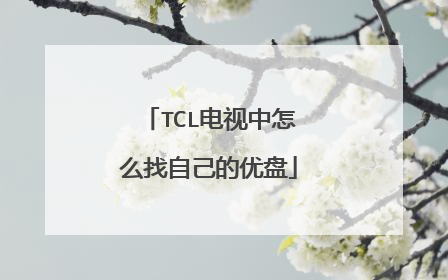 TCL��������ô���Լ�������