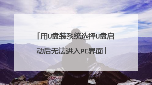 ��U��װϵͳѡ��U���������޷�����PE����
