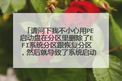 �������Ҳ�С����PE�������ڷ�����ɾ����EFIϵͳ�������ָ�������Ȼ��͵�����ϵͳ�������ˣ���ô��