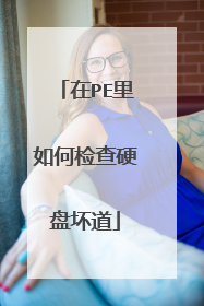 ��PE����μ��Ӳ�̻���