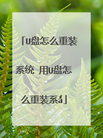 U����ô��װϵͳ ��U����ô��װϵ?