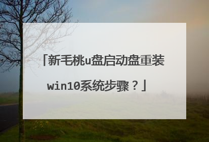 新毛桃u盘启动盘重装win10系统步骤?