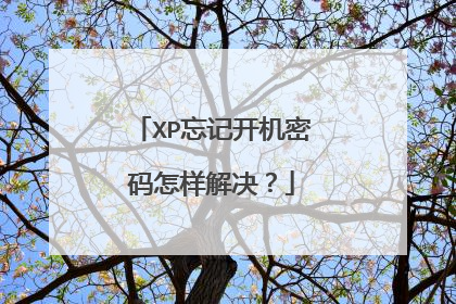 XP���ǿ����������������