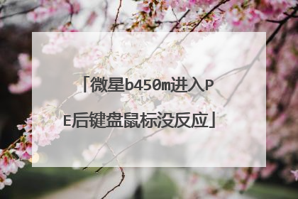 ΢��b450m����PE��������û��Ӧ