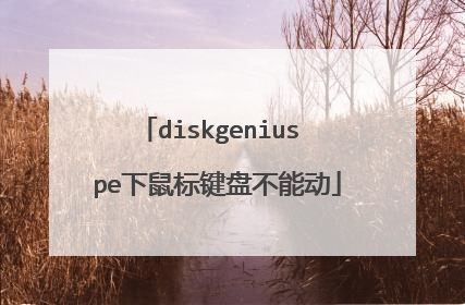 diskgenius pe�������̲��ܶ�