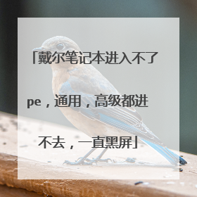 戴尔笔记本进入不了pe,通用,高级都进不去,一直黑屏