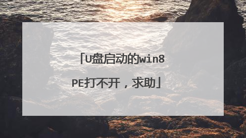 U��������win8PE�򲻿�������