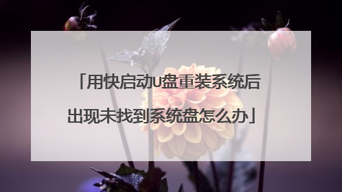 �ÿ�����U����װϵͳ�����δ�ҵ�ϵͳ����ô��