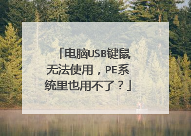 ����USB�����޷�ʹ�ã�PEϵͳ��Ҳ�ò��ˣ�