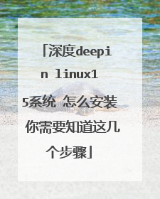 ���deepin linux15ϵͳ ��ô��װ ����Ҫ֪���⼸������