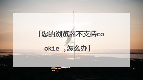 �����������֧��cookie ,��ô��