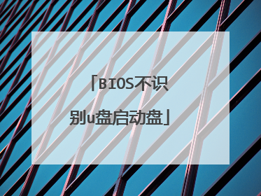 BIOS��ʶ��u��������