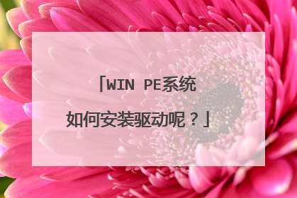 WIN PEϵͳ��ΰ�װ�����أ�