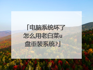 ����ϵͳ������ô���ϰײ�u����װϵͳ?