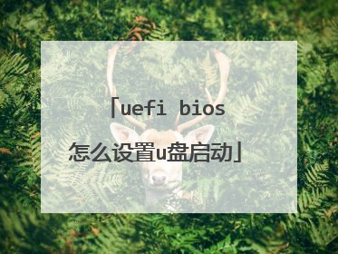 uefi bios��ô����u������