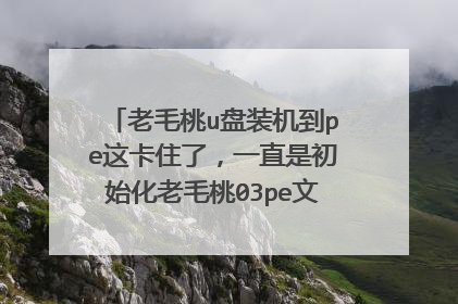 ��ë��u��װ����pe�⿨ס�ˣ�һֱ�ǳ�ʼ����ë��03pe�ļ�ϵͳ����ô������ü����˶�������