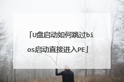 U�������������bios����ֱ�ӽ���PE