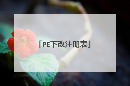 PE�¸�ע���