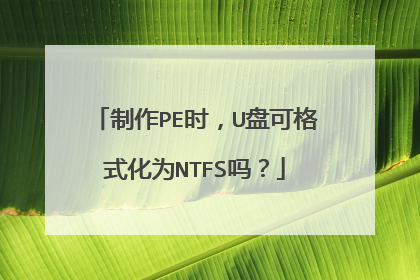 ����PEʱ��U�̿ɸ�ʽ��ΪNTFS��
