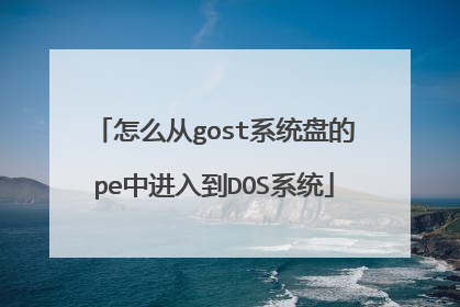 ��ô��gostϵͳ�̵�pe�н��뵽DOSϵͳ