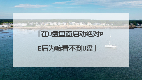 ��U��������������PE��Ϊ�￴����U��