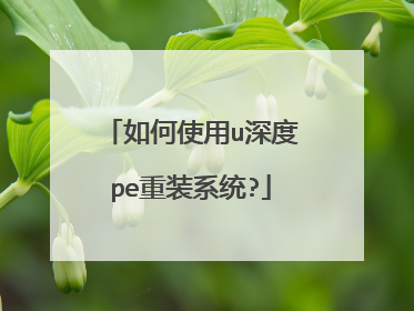 ���ʹ��u���pe��װϵͳ?