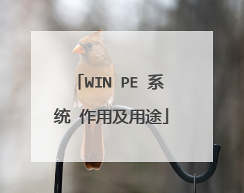 WIN PE ϵͳ ���ü���;