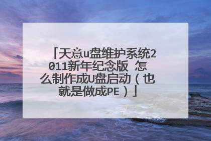 ����u��ά��ϵͳ2011�������� ��ô������U��������Ҳ��������PE��