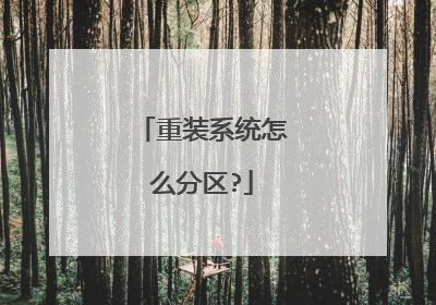 ��װϵͳ��ô����?