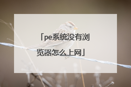 peϵͳû���������ô����