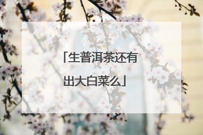 ���ն��軹�г���ײ�ô